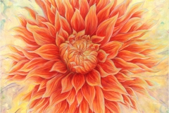 orangedahlie01