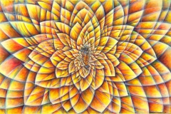 Mandala01